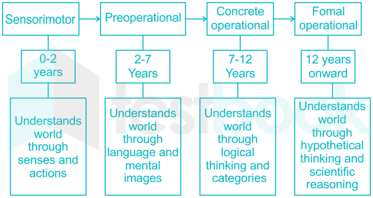 jean piaget language acquisition theory